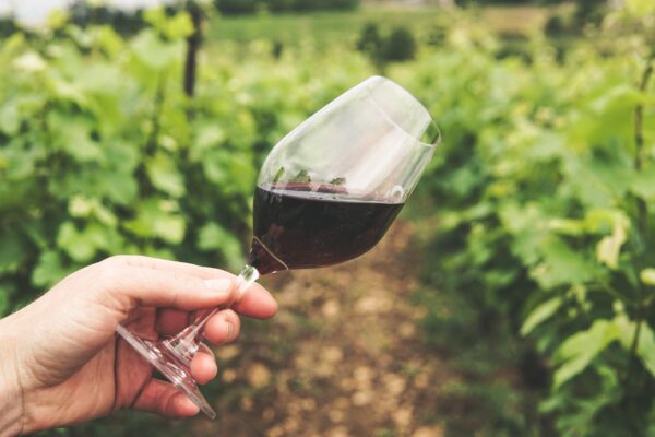 In Vino Veritas: The truth about sustainable wine