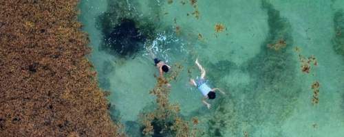 My Journey into Sustainable Tourism and Environmental Challenges in Mexico.