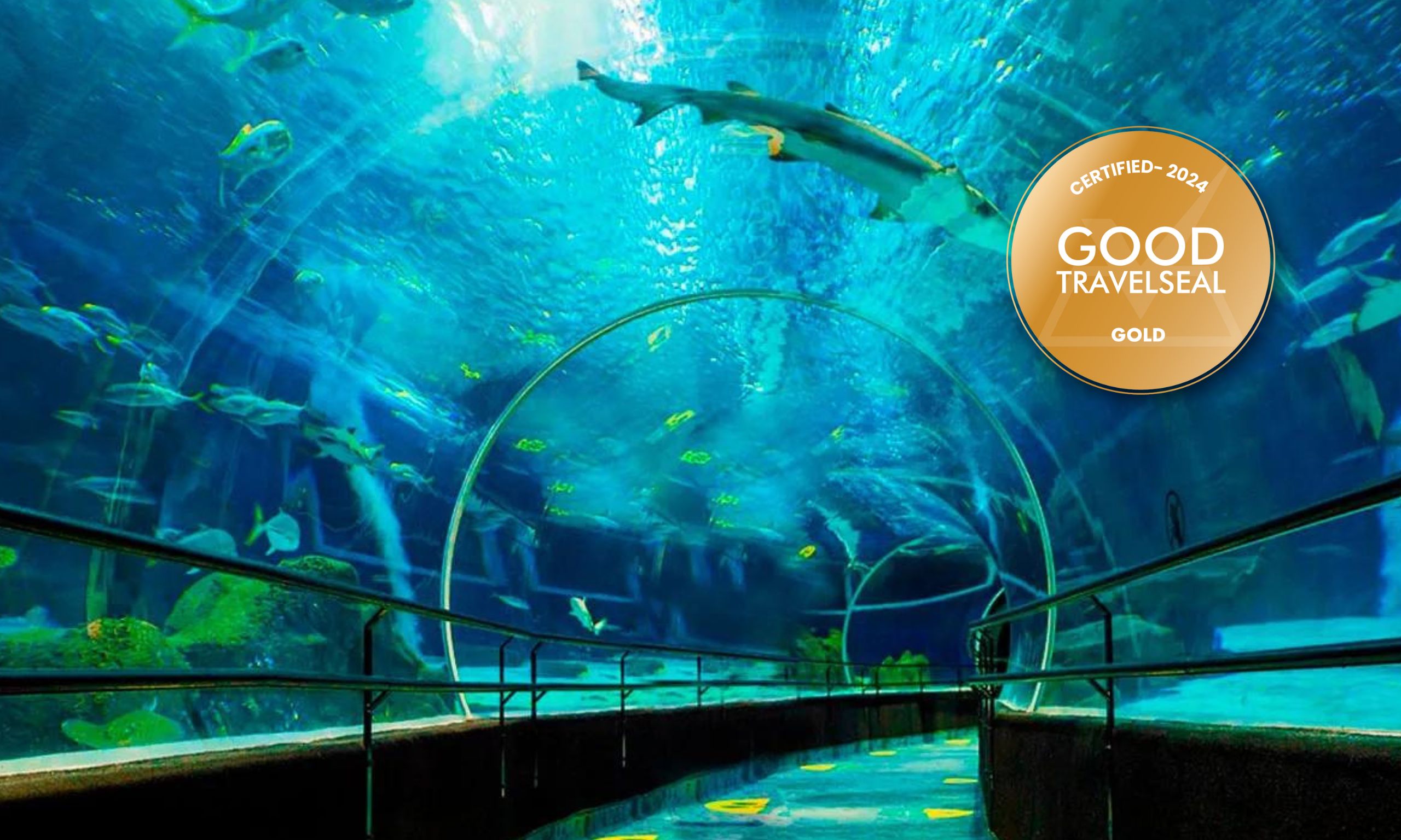 AquaRio Aquario Marinho do Rio