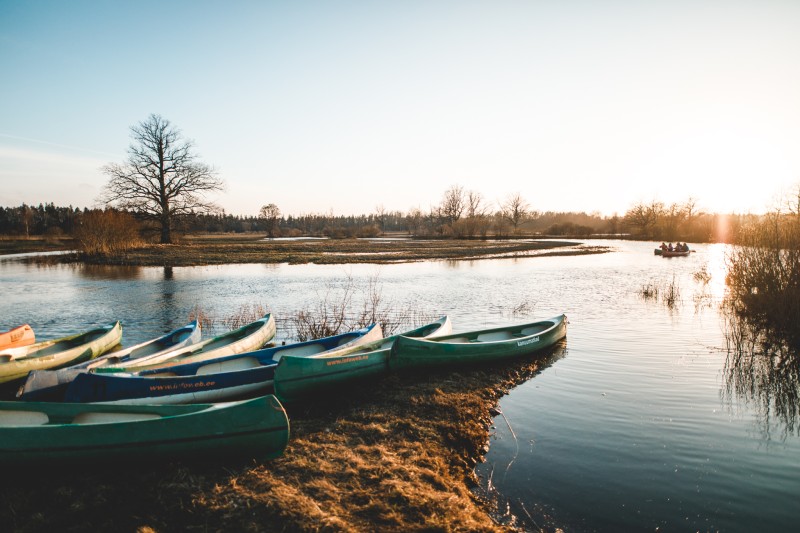 Parnu - Estonia, Sooma National Park