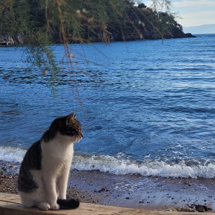 14. The Prince Islands - Büyükada 