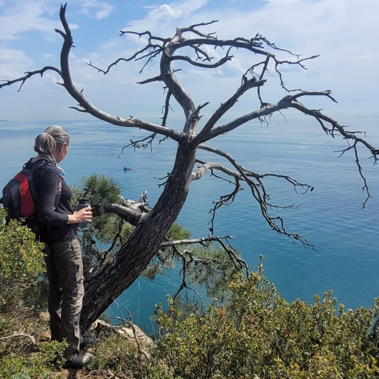 16. The Prince Islands - Burgazada