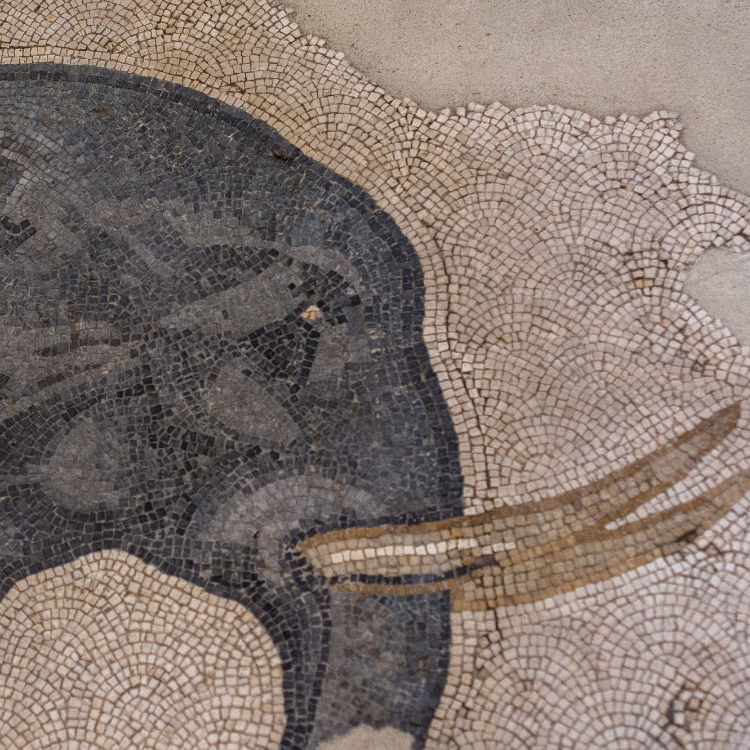 Great Palace Mosaics Museum