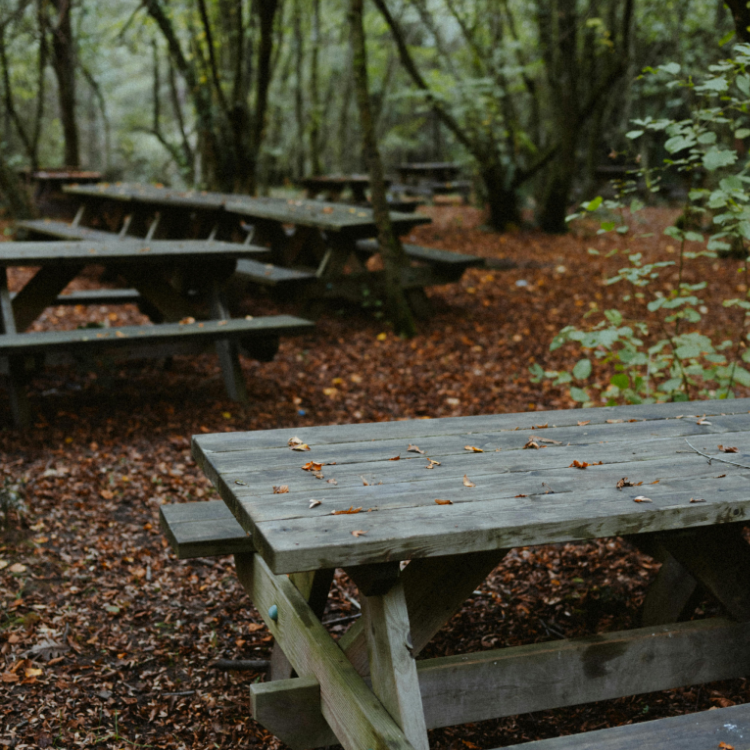 Polonezköy Tabiat Parkı (Polonezköy Nature Park)