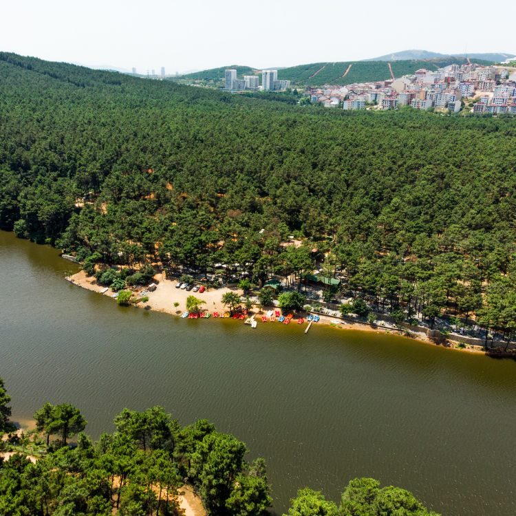 Aydos Tepesi / Aydos Ormanı (Aydos Hill / Aydos Forest)