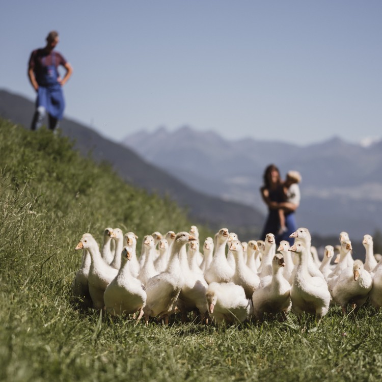 6. Spending Time in Nature