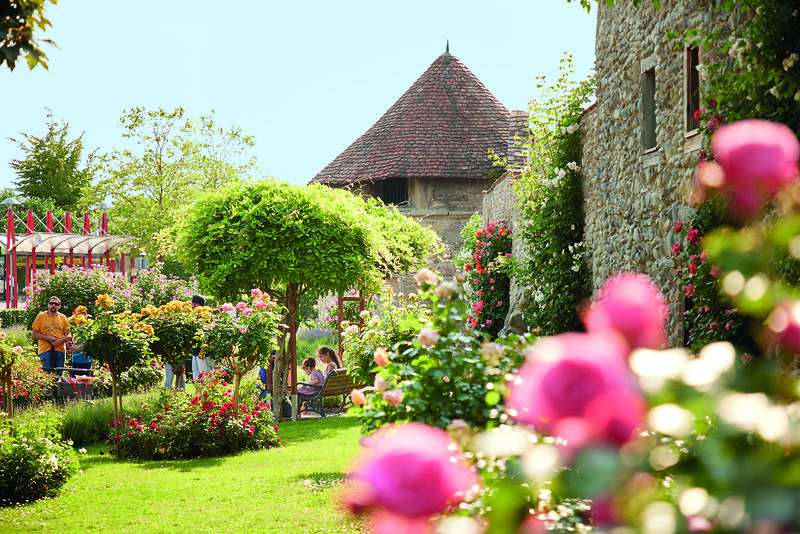 1. Boundless Garden Rendezvous