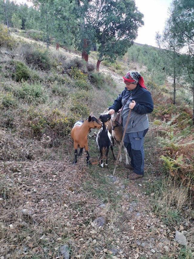 1. Serra da Lousã Experience